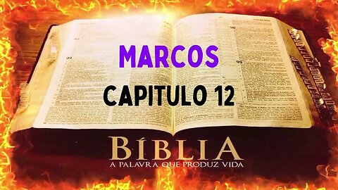 Bíblia Sagrada Marcos CAP 12