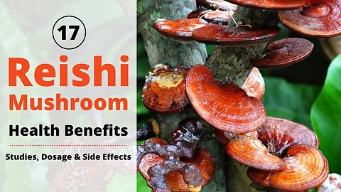 Reishi Mushroom Health Benefits: 17 Proven Ways It Can Improve Your Life