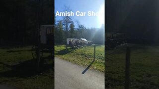 Amish Car Show