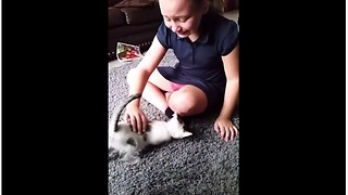 Little Girl Is Sent Into A Crying Fit Over Kitten Surprise