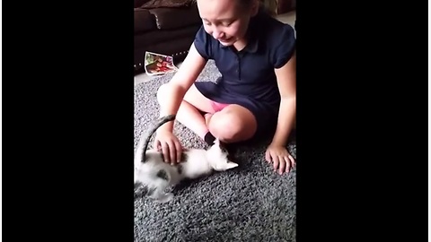 Little Girl Is Sent Into A Crying Fit Over Kitten Surprise