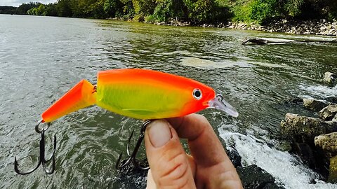 This Lure Catches Alligator Gar!