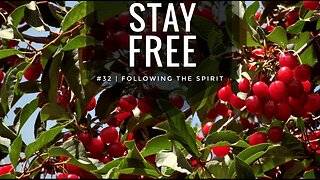 Stay Free #32 | Following The Spirit