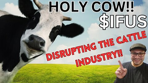 HOLY🐮!! $IFUS | IMPACT FUSION INTERNATIONAL | THIS IS THE BEGINNING!!! 🐄