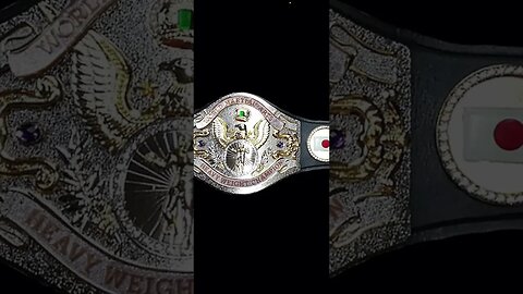 Did You Know WWE Once Had A Martial Arts Championship Title Belt? #shorts