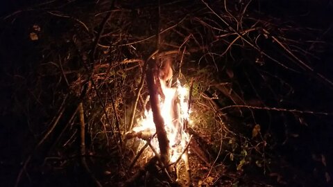 bushcrafting and updates