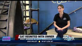 Man reunited with cat 14 years after disappearance