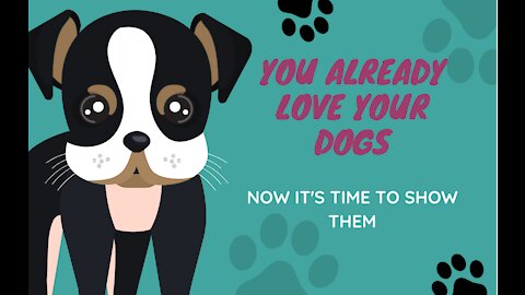 You Already Love Your Dogs: Now It's Time To Show Them
