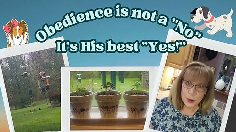 Obedience is Not a "No" It's His Best "Yes!"🥰 5 2 2023 #devotional #devotions