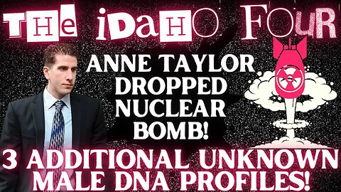 🚨3 ADDITIONAL UNKNOWN MALE DNA PROFILES🚨Anne Taylor Drops BOMBS In Idaho Four Case! (Correction Vid)