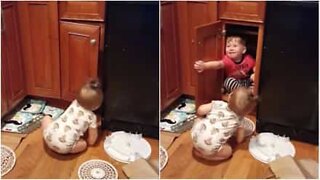 Babies fight over a cabinet!