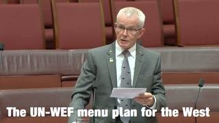 The UN-WEF menu plan for the West