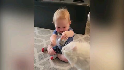 cute baby playing with cats and dog