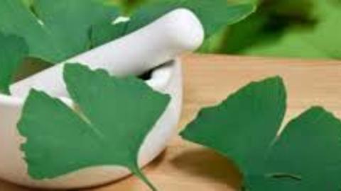 Increase Energy, Libido, Concentration and More With Ginkgo Biloba
