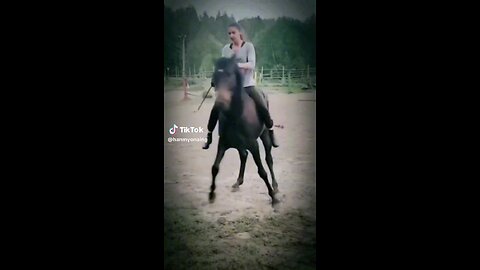 horse dancing with girl