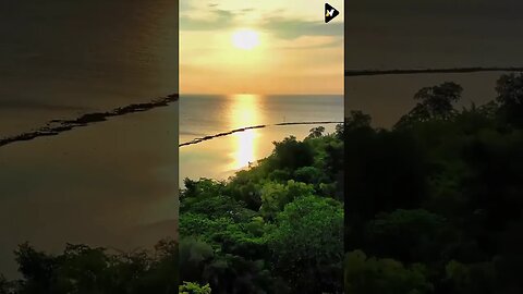 Relaxation Short Videos with Beauty of Nature #shorts #short #shortfeed #nature 7