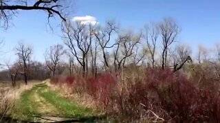 Hiking the Dunes Trail at the Illinois Beach State Park in Zion