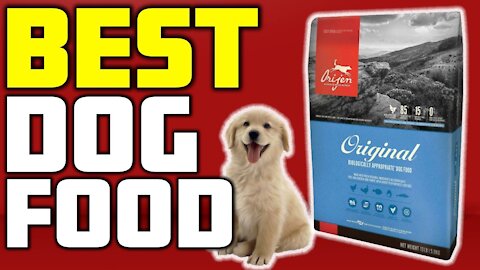 5 Best Dog Food in 2021 - All Over World