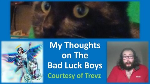 My Thoughts on The Bad Luck Boys, aka Mersh's Cats (Courtesy of Trevz)