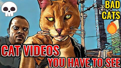 The Most WILD Cat Videos Of 2023 💀| Cat Fights, Cats Falling In Water | Best Cat Compilation#cats