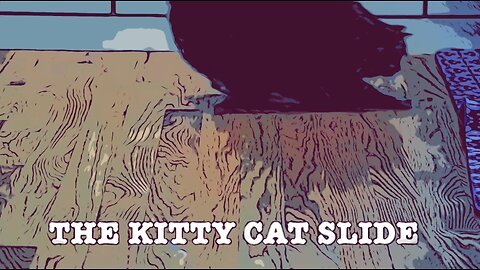 The Kitty Cat Slide