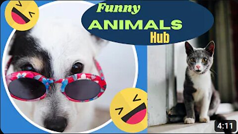 Funny animals 😄hub,funny animals club youtube, 🤣, funny animals dancing 💃😄, funny animals fighting 😄