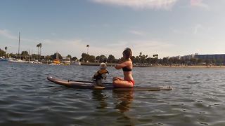 Talented Pooch Goes On Surfboard Adventure With Owner