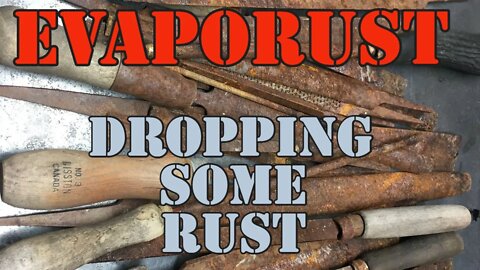 Evaporust - Dropping some Rusty Bits in the Bin - Plus My Trusty Helper