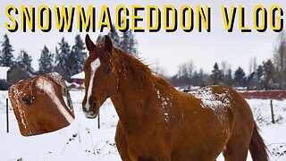 Surviving A Canadian Winter Storm With Horses: Snowmageddon Vlog