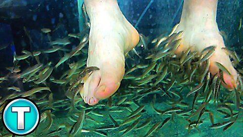 Feeding Fish with Your FEET!