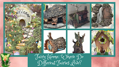 Teelie's Fairy Garden | Fairy Home: Where Do Different Fairies Live? | Teelie Turner
