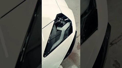 INSANE Lamborghini Aventador!