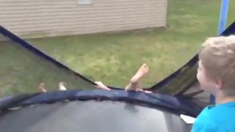 Kids Wrestle On Trampoline, Fall Hilariously