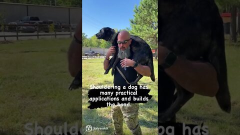 Shouldering your dog