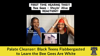 Palate Cleanser: Black Teens Flabbergasted to Learn the Bee Gees Are White