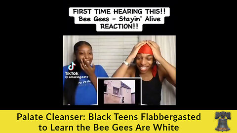 Palate Cleanser: Black Teens Flabbergasted to Learn the Bee Gees Are White