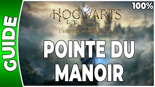 Hogwarts Legacy : l'Héritage de Poudlard - POINTE DU MANOIR - 100% Coffres, Pages, Demiguises