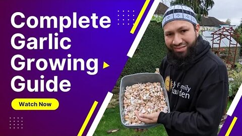 Complete Garlic Growing Guide - Growing Garlic From Planting To Harvest