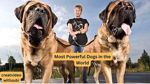 Most Powerful Dogs in the World