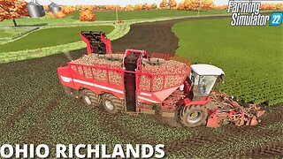 BEETS -- Grass N Planting N Grass N BEETS | Ohio Richlands 13 | FS22