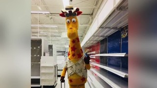 All Toys 'R' Us stores to close today