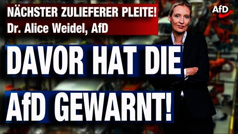 NÄCHSTER ZULIEFERER PLEITE! Dr. Alice Weidel, AfD