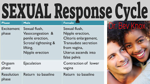 Sexual Response Cycle - Masters & Johnson