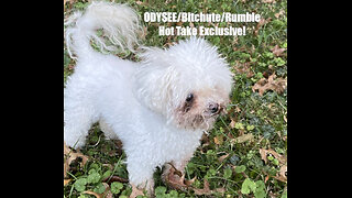 Rumble/Odysee/Bitchute Exclusive Hot Take: Jan 14th 2024 News Blast!