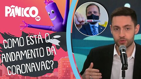 Vitor Brown comenta distribuição da CORONAVAC em SP