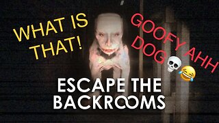 THIS GAME GOT ME SCREAMING THE WHOLE TIME! [Escape The Backrooms]