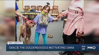 United Way needs therapy dogs