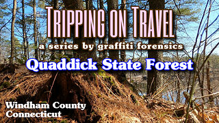 Tripping on Travel: Quaddick State Forest, Windham County, CT