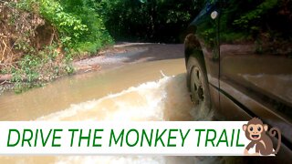DRIVE THE MONKEY TRAIL // Winding Costa Rica Road + River Crossing [tourism][2022]