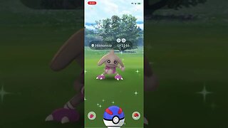 Shiny Compilation